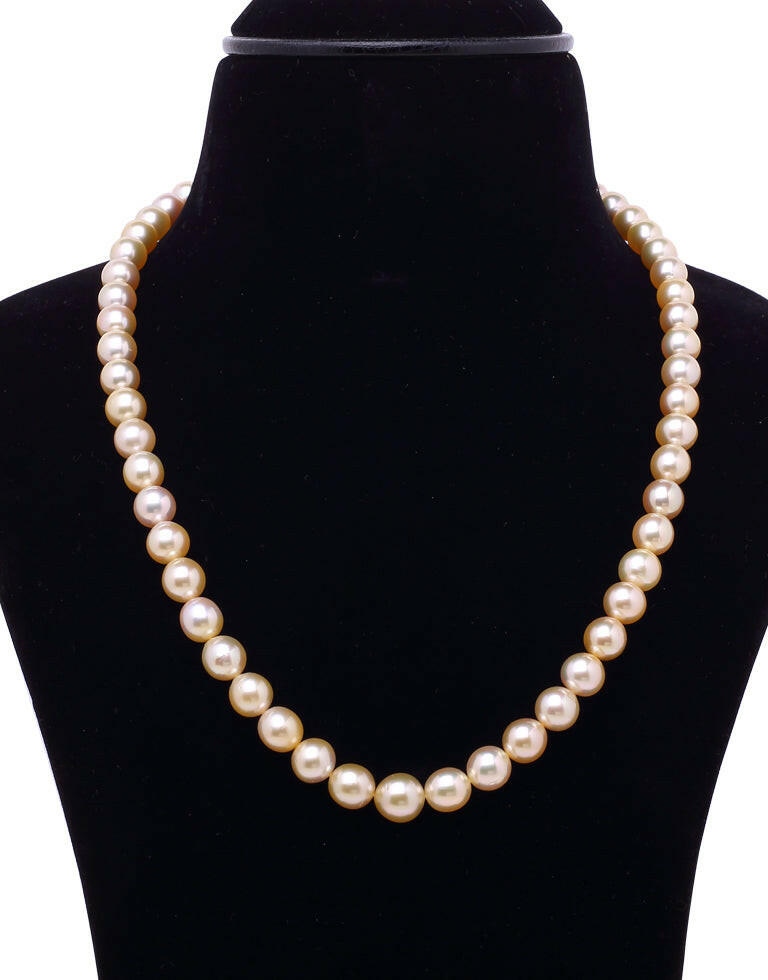 Natural Golden South Sea Saltwater Pearl Necklace 8–9.5mm, AA+