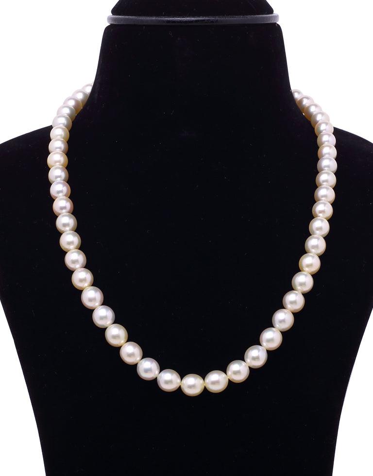 Round Light Champagne Color White South Sea Saltwater Pearl Necklace, 8.5-9.0mm – AA Quality
