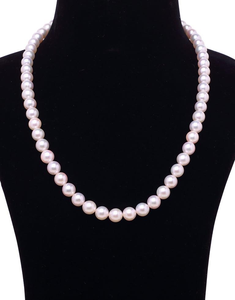 White Japanese Akoya Pearl Necklace, 8.0–8.5mm AAA Quality