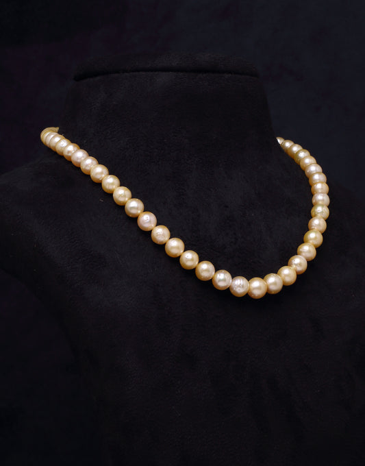 Round Natural-Color Golden South Sea Pearl Necklace, 7.5-9.5mm, A Quality