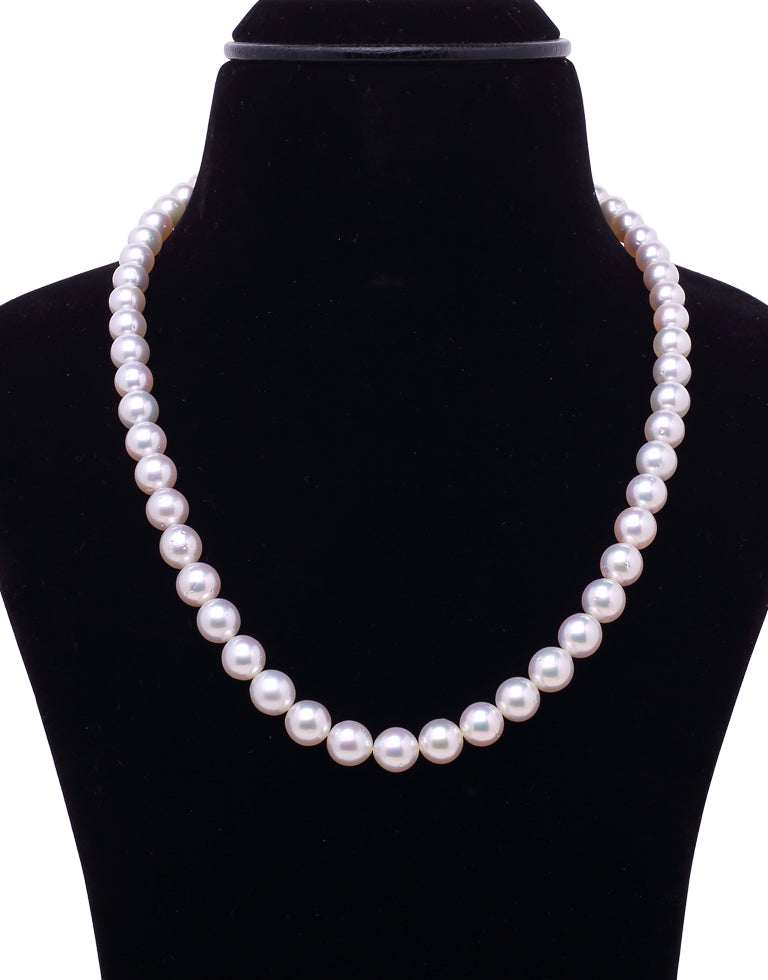 Round Natural-Color White South Sea Saltwater Pearl Necklace, 7.7-8.9mm – AA+ Quality