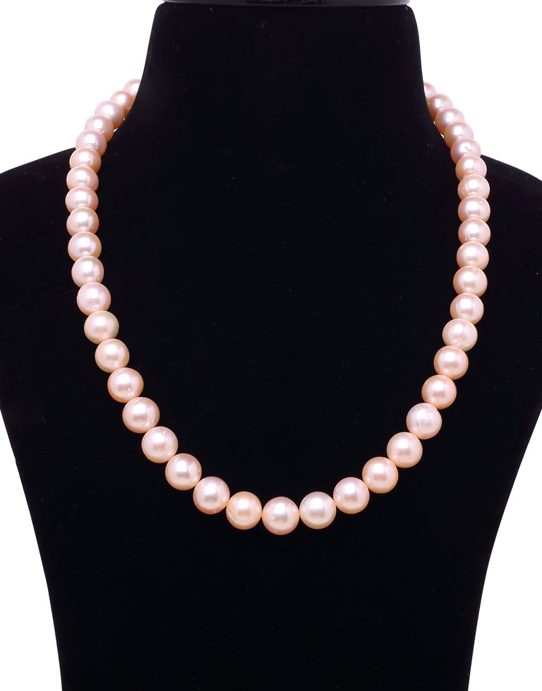 Precious Pink Freshwater Pearl Necklace