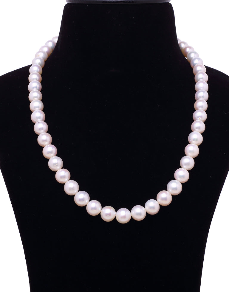 Super Gorgeous white Freshwater Pearl Necklace