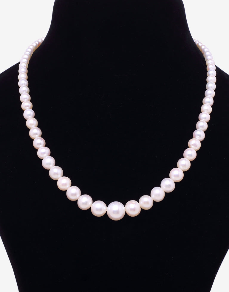 The Exquisite Round White Freshwater Pearl Graded Necklace