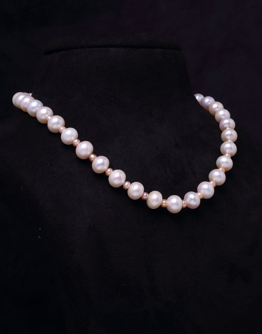 Gorgeous White & Pink Freshwater Pearl Necklace