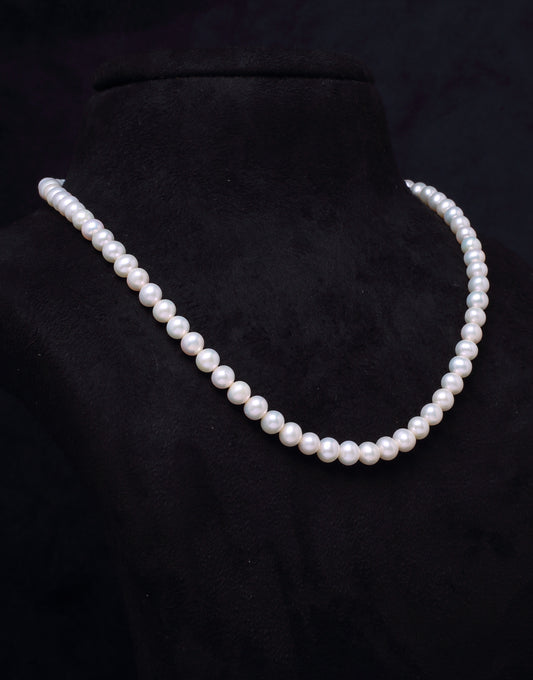 Stunning Round White Freshwater Pearl Necklace
