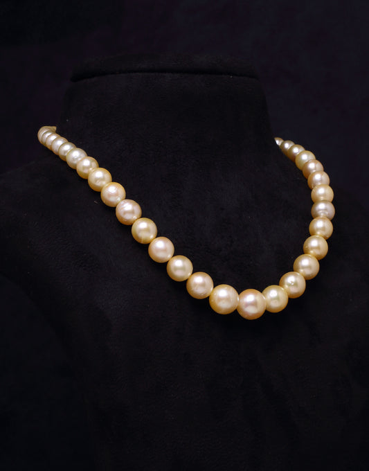 Round Natural-Color Golden South Sea Saltwater Pearl Grading Necklace, 8.2-14mm – AA Quality