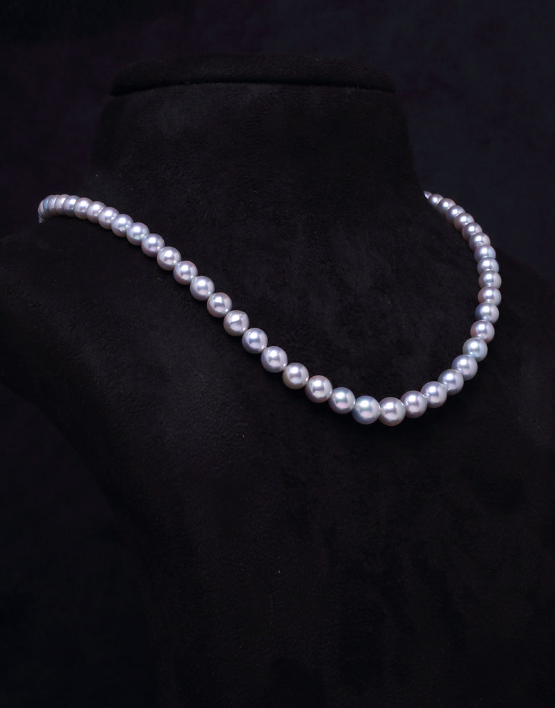 Platinum Cultured Akoya Pearl Rhodium Over Sterling Silver Necklace -  SPL485 | JTV.com